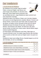 Vorschau - Arbeitsblätter - Lesetext mit Arbeitsblatt - Der Weißstorch (Klasse 2-4) - Seite 2
