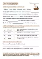 Vorschau - Arbeitsblätter - Lesetext mit Arbeitsblatt - Der Weißstorch (Klasse 2-4) - Seite 3
