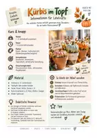 Vorschau - Arbeitsblätter - KÜRBIS BEMALEN - Herbst Klassenzimmerdeko & Kunstprojekt - Seite 2