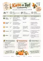 Vorschau - Arbeitsblätter - KÜRBIS BEMALEN - Herbst Klassenzimmerdeko & Kunstprojekt - Seite 3