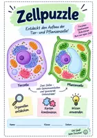 Vorschau - Stundenentwürfe - Erarbeitung Tier- und Pflanenzelle Klasse 8 - Deckblatt