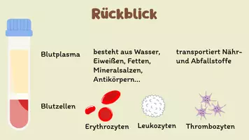 Vorschau - Stundenentwürfe - Mystery zum Thema Blutgruppen (AB0-System) und Blutspende - Seite 3