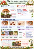 Vorschau - Arbeitsblätter - Pilze - Unterrichtsmaterial - Seite 3