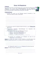 Vorschau - Arbeitsblätter - Einführung in die Pflegeplanung - Seite 1