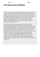 Vorschau - Stundenentwürfe - Lesetest Klasse 4 – Bauernhof | 10 Texte mit Fragen & Lösungen - Seite 2