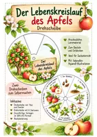 Vorschau - Arbeitsblätter - Lebenskreislauf des Apfels – Drehscheibe | Sachunterricht Klasse - Deckblatt