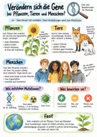 Vorschau - Arbeitsblätter - Lernplakat + Arbeitsblätter "Verändern sich die Gene bei Pflanzen, Tieren und Menschen?" + Lösung & MP3 + Mindmap + Infografik - Deckblatt