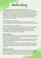 Vorschau - Merkblätter - Pubertät - Flyer Jungs, Mädchen (Sexualerziehung) Infos (Kl. 5/6) - Seite 2
