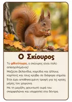 Προεπισκόπηση - Flashcards - Τα Ζώα του Φθινοπώρου - Εποπτικό Υλικό - Σελίδα 2
