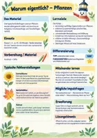 Vorschau - Arbeitsblätter - Warum eigentlich? Pflanzen | Sachunterricht Klasse 3–4 - Seite 1