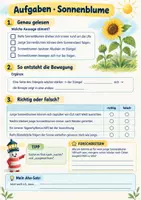 Vorschau - Arbeitsblätter - Warum eigentlich? Pflanzen | Sachunterricht Klasse 3–4 - Seite 3