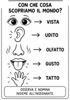 anteprima - Esercizi - I Cinque Sensi | Scuola Infanzia - Pagina 2