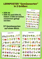 Vorschau - Poster - Gemüse Poster für Kinder – 57 Gemüsesorten lernen mit realistischen Bildern | Kita & Grundschule - Seite 3