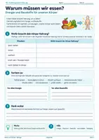 Vorschau - Unterrichtsreihen - Ernährung und Verdauung – Nährstoffe, Magen, Dünndarm & Verdauungsorgane | Biologie 5 - Deckblatt