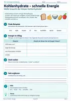 Vorschau - Unterrichtsreihen - Ernährung und Verdauung – Nährstoffe, Magen, Dünndarm & Verdauungsorgane | Biologie 5 - Seite 2