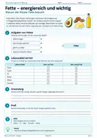 Vorschau - Unterrichtsreihen - Ernährung und Verdauung – Nährstoffe, Magen, Dünndarm & Verdauungsorgane | Biologie 5 - Seite 3