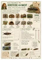 Vorschau - Arbeitsblätter - Ohrwurm – kostenloses Materialpaket für Sachunterricht & Naturbildung | Bella Wildherz - Seite 1