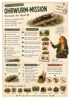 Vorschau - Arbeitsblätter - Ohrwurm – kostenloses Materialpaket für Sachunterricht & Naturbildung | Bella Wildherz - Seite 3