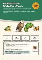 Vorschau - Stundenentwürfe - Wirbeltier-Check – Biologie Klasse 5/6 - Seite 1