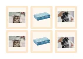 Aperçu - Jeux - Jeux à manipuler et graphisme – Petite Section - Page 3