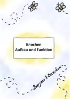 Vorschau - Stundenentwürfe - Knochen - Aufbau und Funktion - Deckblatt