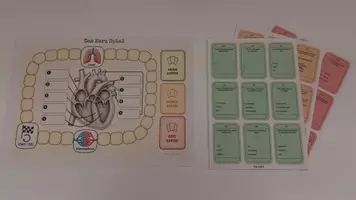 Vorschau - Spiele - Das Herz-Spiel zu Herzaufbau & Blutkreislauf | mit differenzierten Fragenkarten | Klasse 5–7 - Seite 2