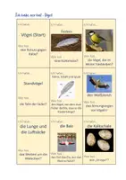 Vorschau - Spiele - Spiel Vögel: Ich habe..., wer hat..? Biologie Klasse 5 - Deckblatt