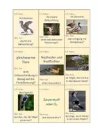 Vorschau - Spiele - Spiel Vögel: Ich habe..., wer hat..? Biologie Klasse 5 - Seite 1