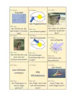 Vorschau - Spiele - Spiel Vögel: Ich habe..., wer hat..? Biologie Klasse 5 - Seite 2