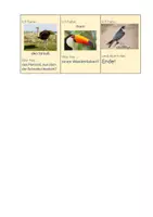 Vorschau - Spiele - Spiel Vögel: Ich habe..., wer hat..? Biologie Klasse 5 - Seite 3
