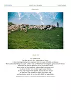 Vorschau - Stundenentwürfe - Der gute Hirte - katholische Religion (5./6. Schulstufe) - Seite 2