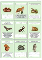 Vorschau - Spiele - Waldtiere „Ich habe – Wer hat?“ – Kettenspiel in 2 Niveaustufen Sachunterricht 3 4 - Seite 2