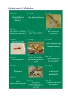 Vorschau - Spiele - Spiel Amphibien: "Ich habe..., wer hat...?" Biologie Klasse 5 - Deckblatt