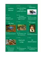 Vorschau - Spiele - Spiel Amphibien: "Ich habe..., wer hat...?" Biologie Klasse 5 - Seite 1