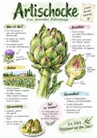 Vorschau - Arbeitsblätter - Lernplakat + Arbeitsblätter zum Thema "Artischocke" + Lösung & MP3 + Mindmap + Infografik - Deckblatt