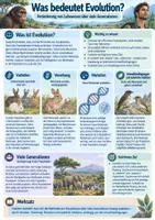 Vorschau - Unterrichtsreihen - Biologieunterricht Materialpaket Körper Ernährung Atmung Evolution Tierwelt - Seite 2