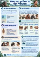 Vorschau - Unterrichtsreihen - Biologieunterricht Materialpaket Körper Ernährung Atmung Evolution Tierwelt - Seite 3