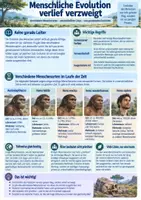 Vorschau - Unterrichtsreihen - Evolution des Menschen - Seite 3