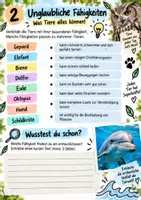 Vorschau - Arbeitsblätter - Tiere unter der Lupe - Reportage - Arbeitsblatt zum Video, differenziert plus DaZ Aufgabe - Seite 2