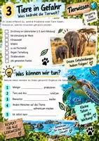 Vorschau - Arbeitsblätter - Tiere unter der Lupe - Reportage - Arbeitsblatt zum Video, differenziert plus DaZ Aufgabe - Seite 3