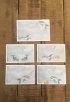 Vorschau - Anderer Materialtyp - Klassenregeln Walklasse Walfisch Regelkarten - Deckblatt
