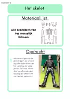 Voorbeeld - Onze organen - Pagina 3