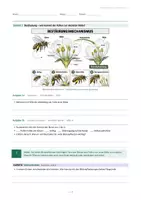 Vorschau - Arbeitsblätter - Pflanzen und Tiere im Frühling – Arbeitsblatt - Seite 2