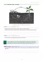 Vorschau - Arbeitsblätter - Pflanzen und Tiere im Frühling – Arbeitsblatt - Seite 3