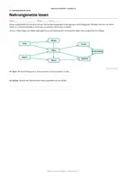 Vorschau - Unterrichtsreihen - Nahrungsketten Nahrungsnetze und Energiefluss
Biologie Klasse 9/10 Arbeitsheft mit Lösungen und visueller Gruppenarbeit - Seite 1