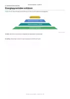Vorschau - Unterrichtsreihen - Nahrungsketten Nahrungsnetze und Energiefluss
Biologie Klasse 9/10 Arbeitsheft mit Lösungen und visueller Gruppenarbeit - Seite 2