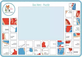 Vorschau - Spiele - Herz Anatomie – digitales Puzzle für Computer & iPad - Seite 3