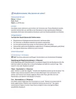 Vorschau - Stundenentwürfe - Musikinstrumente entdecken & wiederholen - Seite 1