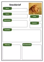 Vorschau - Arbeitsblätter - Tierbeschreibung - verschiedene Tiere mit Schreibplan (Steckbrief) - Seite 3