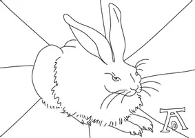 Vorschau - Arbeitsblätter - Pop-Art Feldhase Albrecht Dürer Grundschule - Seite 1
